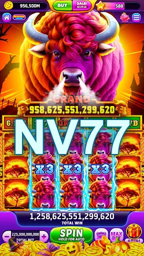 NV77 Masuk